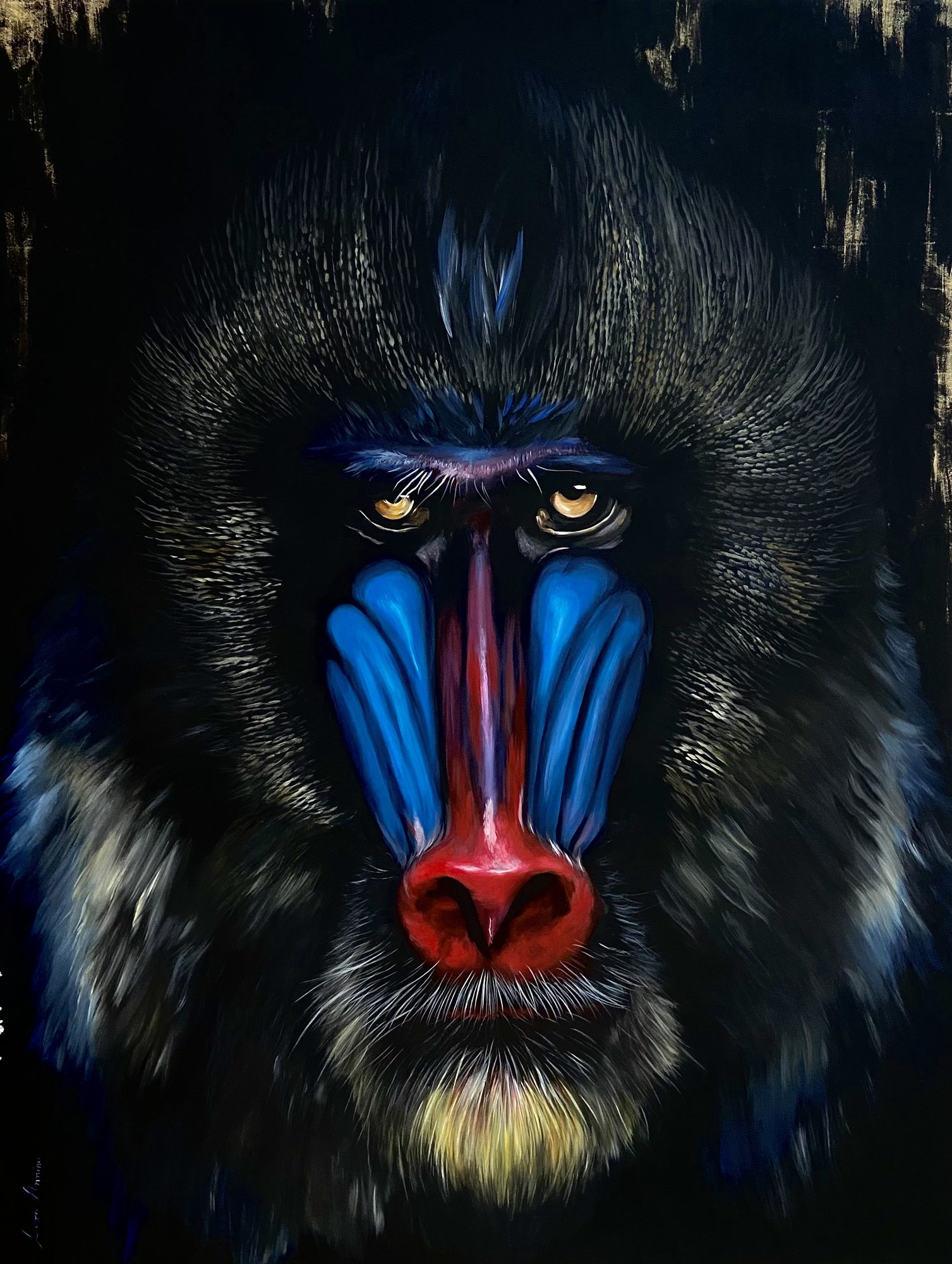 Colourful Baboon