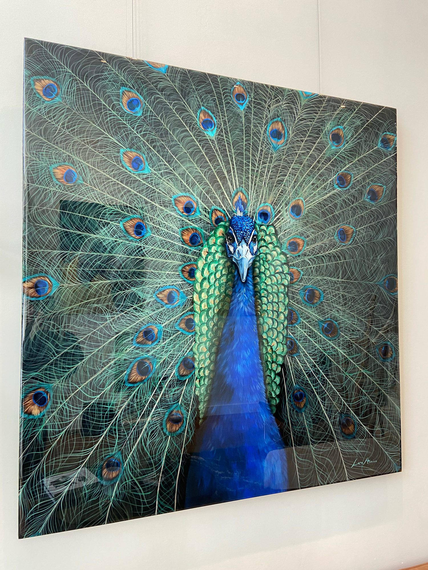 Colourful Dream. Gallery 1
