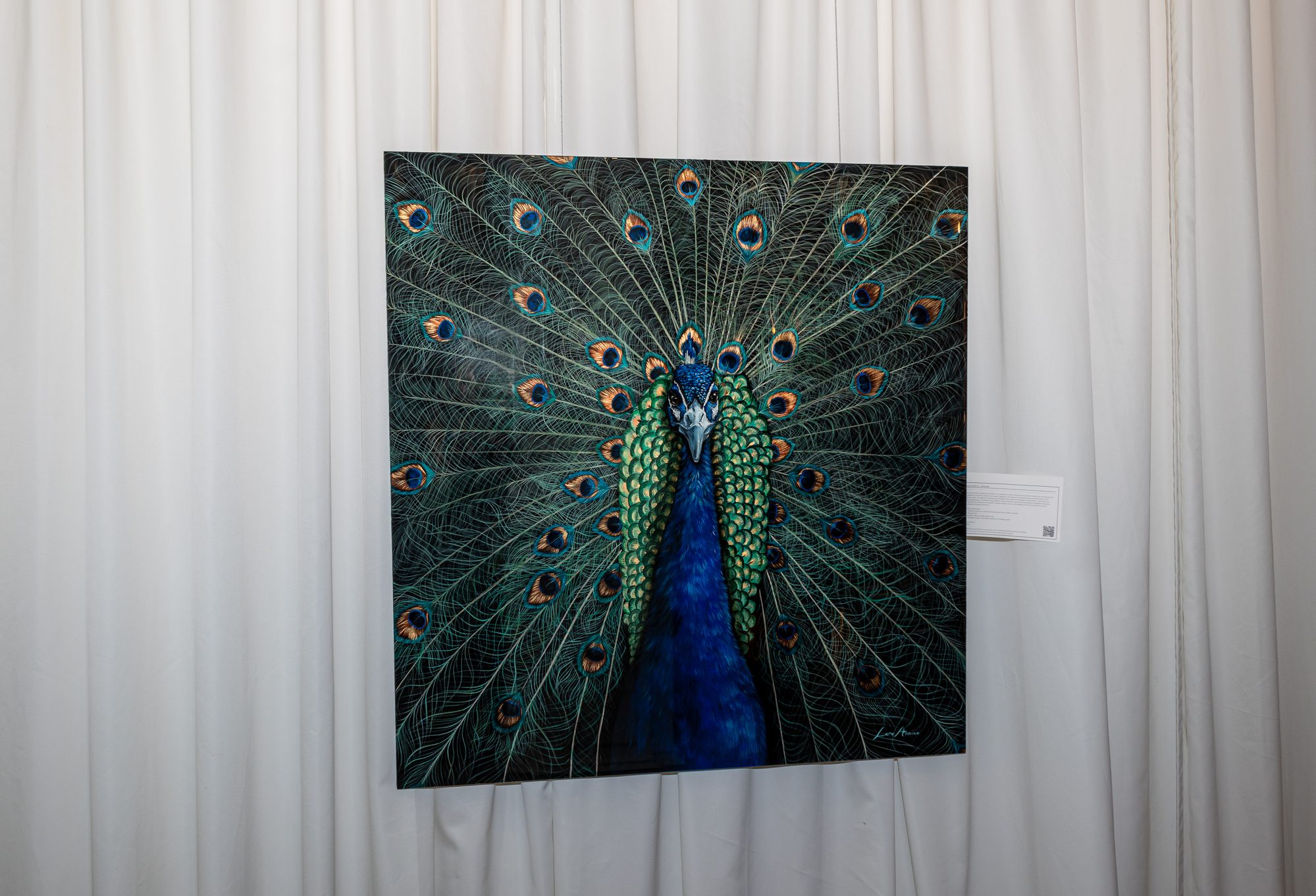 Colourful Dream. Gallery 2