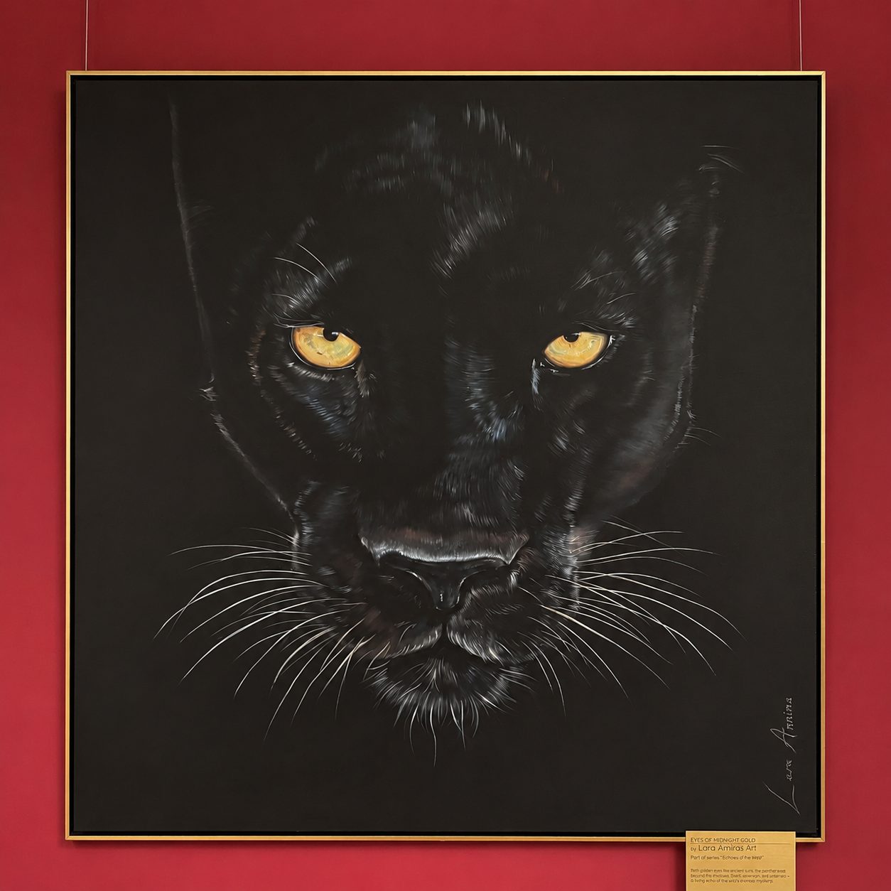 Eyes Of Midnight Gold. Gallery 2