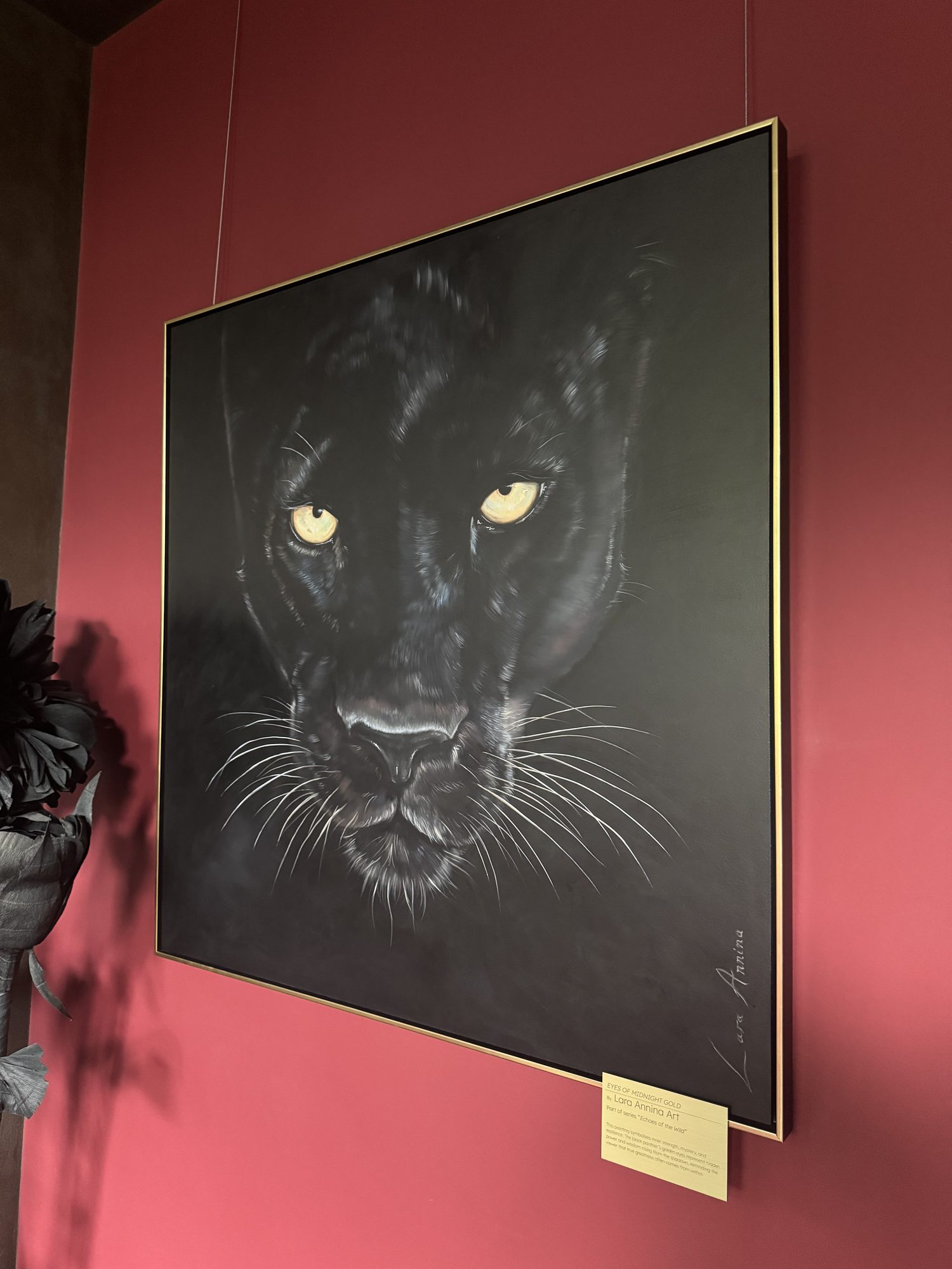 Eyes Of Midnight Gold. Gallery 3