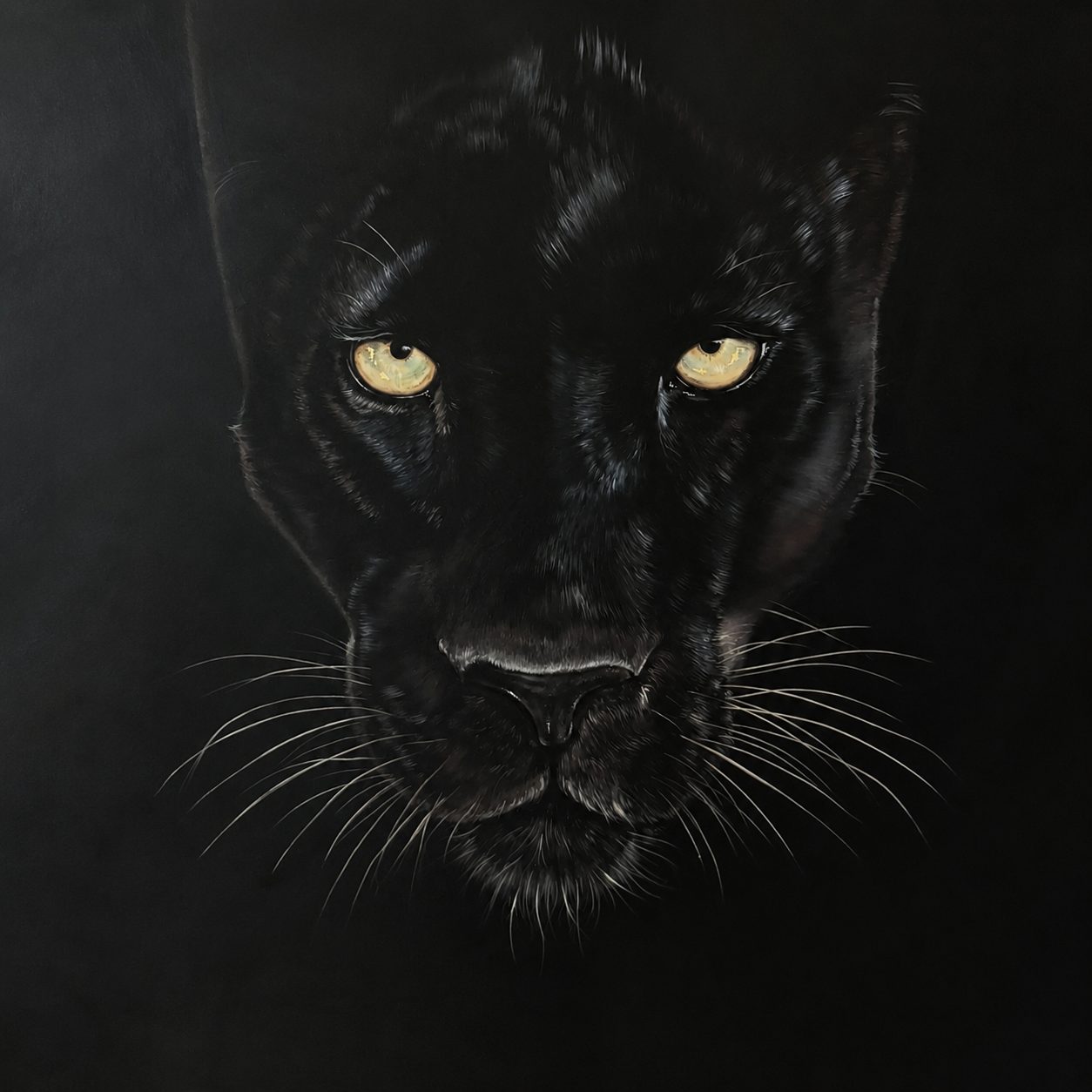 Eyes Of Midnight Gold
