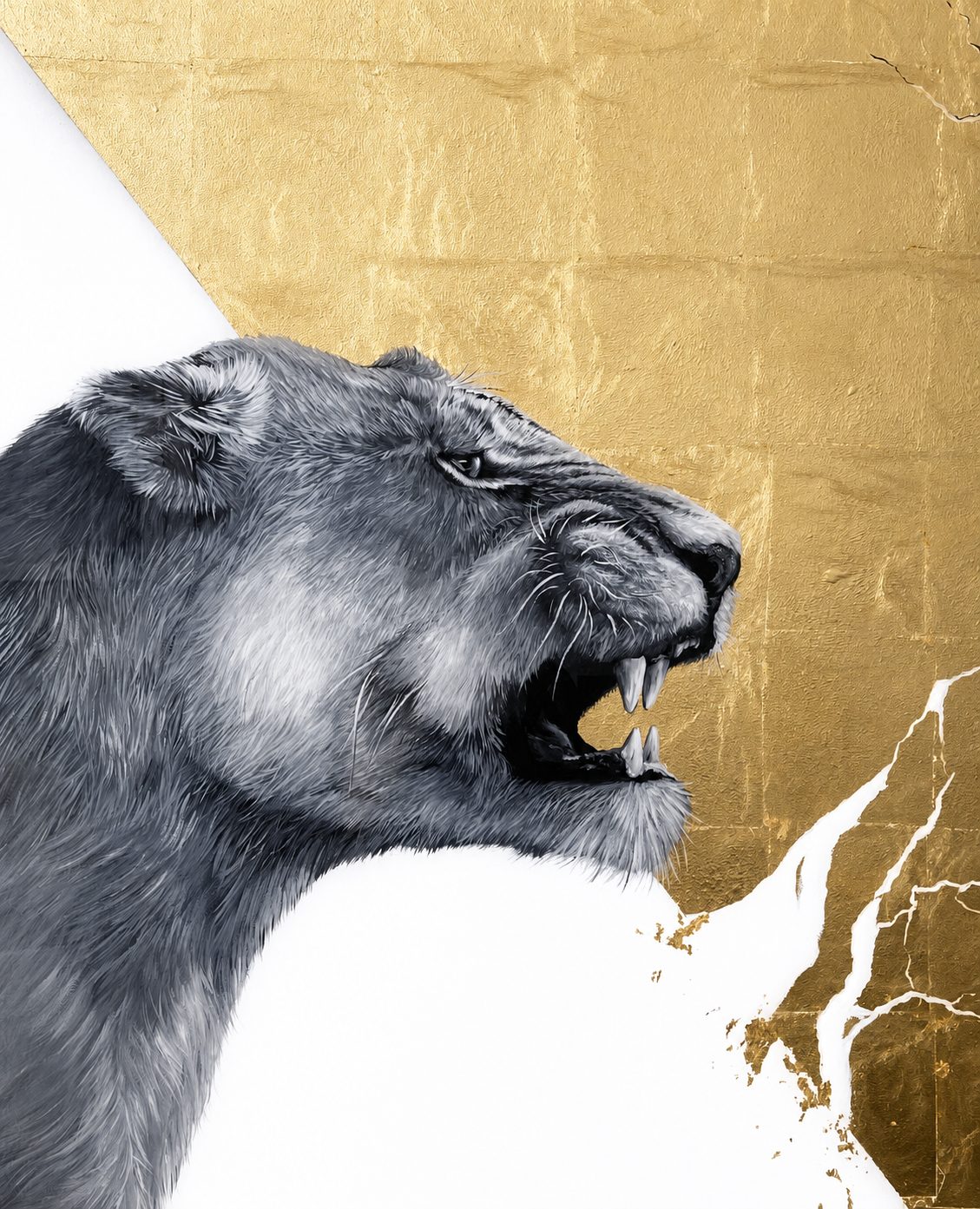 Lions Strength. Gallery 3