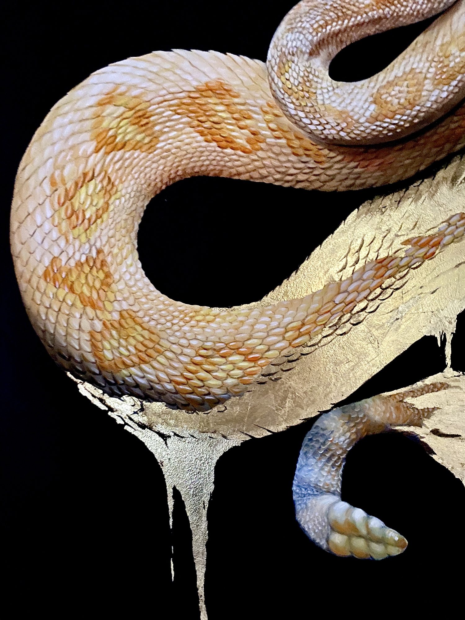 Precious Snake. Gallery 1