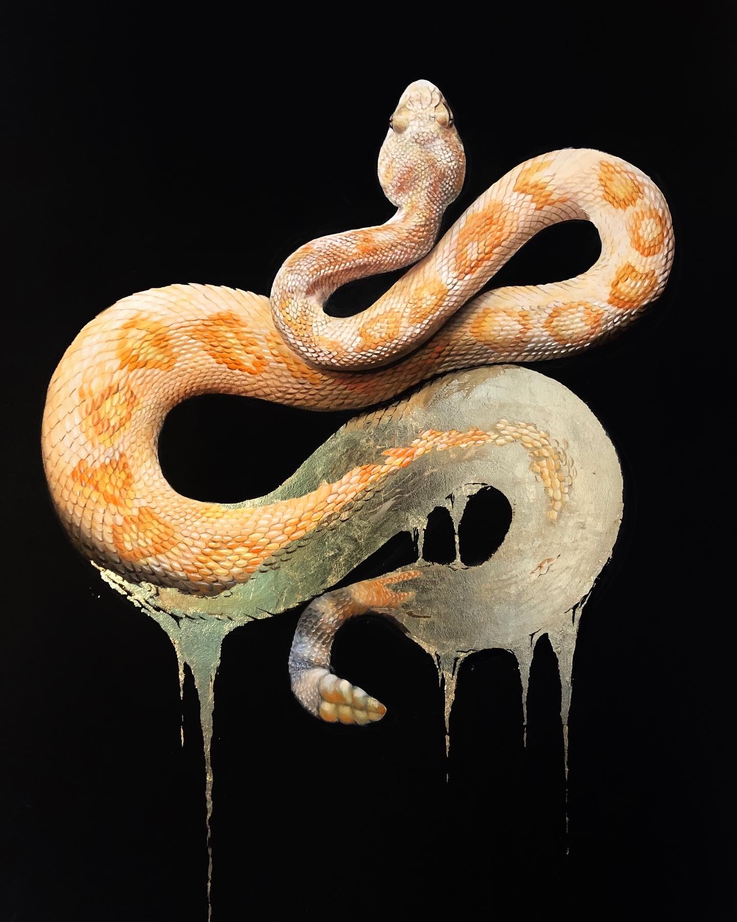 Precious Snake. Gallery 3
