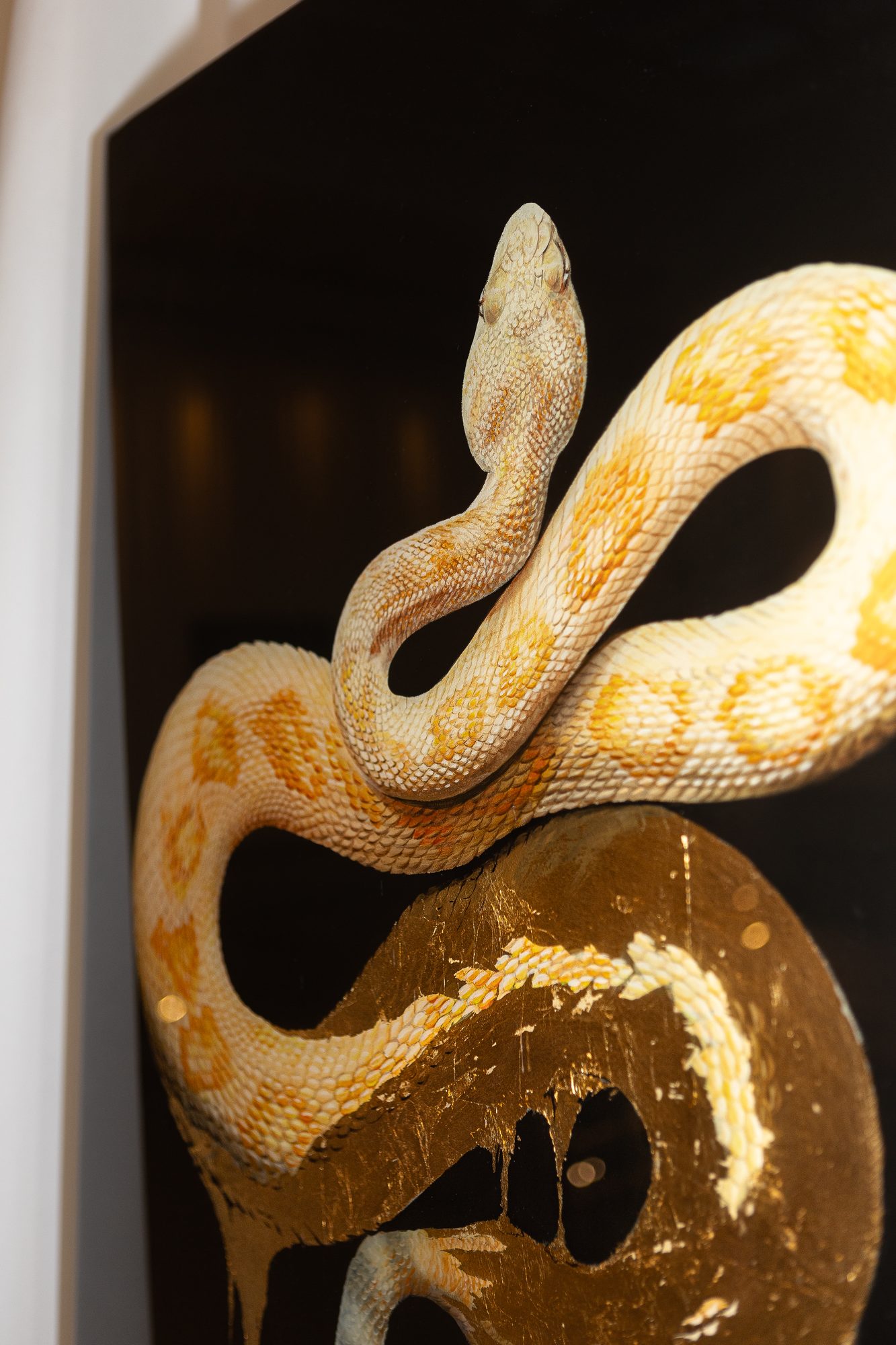 Precious Snake. Gallery 4