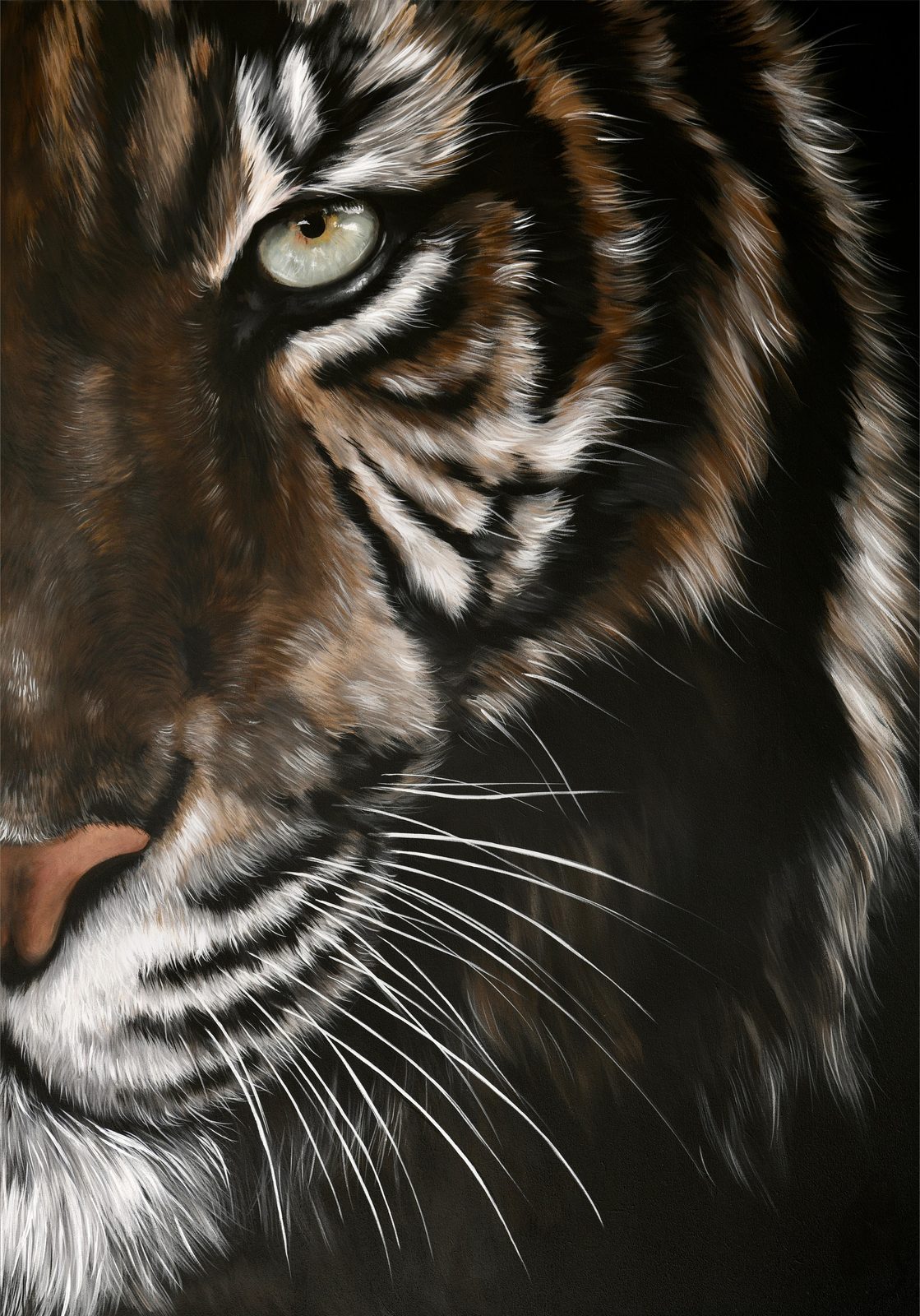 Tigers Eye